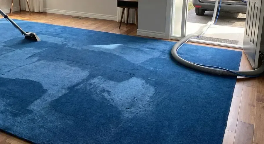 Extraction wand removing water from a soaked blue rug during a Stanwood water damage dry-out