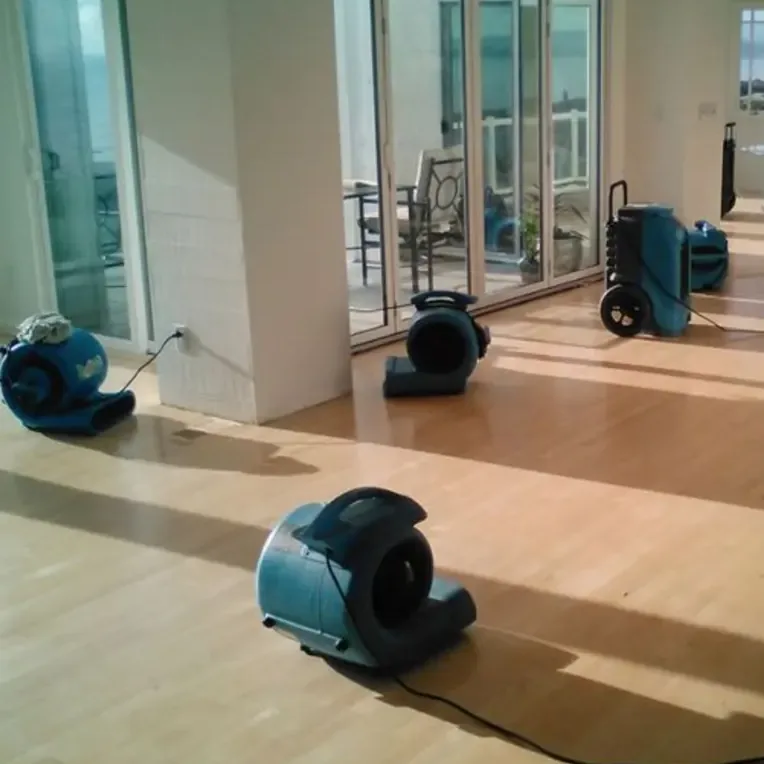 Blue air movers drying a light wood floor beside glass patio doors